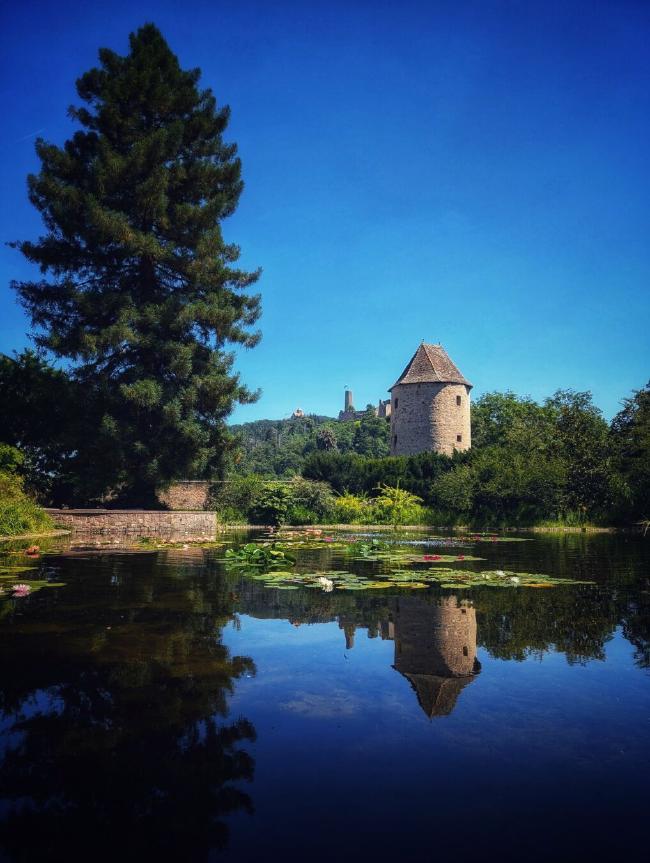 Blick über einen spiegelnden Teich Richtung zwei Burgen. Rechts im Bild ein alter Turm der Stadtmauer und Links ein Baum. Der Himmel ist strahlend blau.