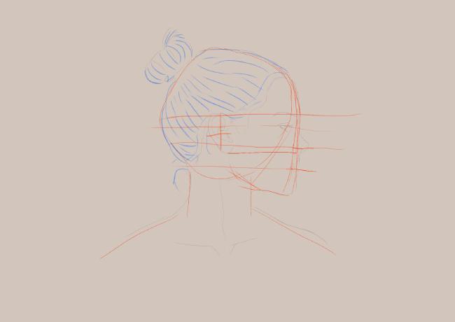 Seitenansicht einer Person. Es sind Haare und verschiedene Abschnitte des Kopfes farblich hervorgehoben.