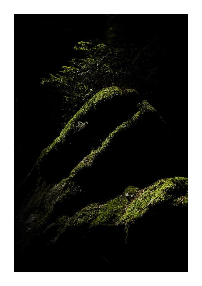 Farbbild im Hochkantformat mit weißem Rahmen. Zu sehen sind Felsen die vollständig mit Moos bewachsen sind. Diese werden von Links oben angestrahlt, sodass auf einem breiteren Sockel wie ein kleiner Berg zwei versetzt angeleuchtete Dreieckige Formen ergeben. oben auf dem Felsen wächst noch ein kleiner Nadelbaum. Der Hintergrund und Vordergrund liegt im Dunkeln.