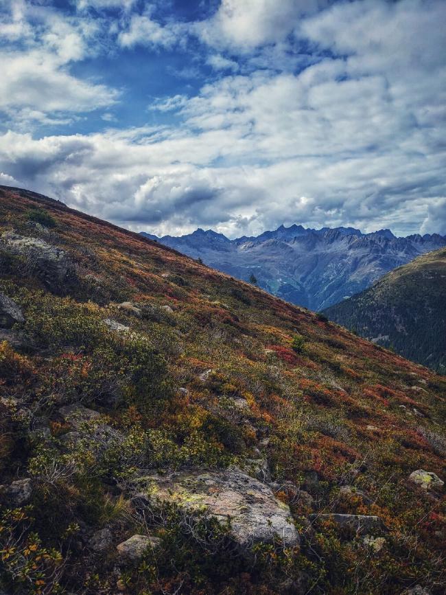 Blick über einen bunten Berghang voller Sträucher in verschiedenen Farben auf eine dahinterliegende Bergkette. Blauer aber deutlich bewölkter Himmel
